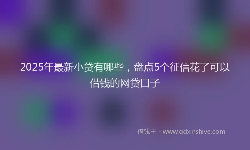 2025年最新小贷有哪些，盘点5个征信花了可以借钱的网贷口子