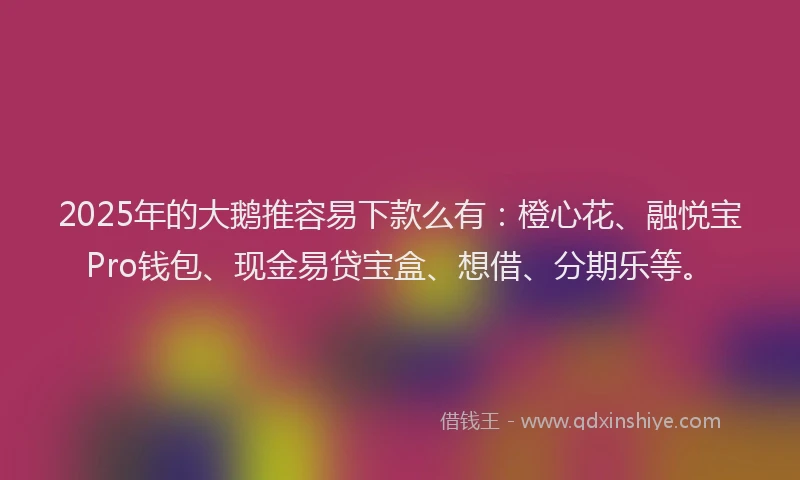 2025年的大鹅推容易下款么有：橙心花、融悦宝Pro钱包、现金易贷宝盒、想借、分期乐等。