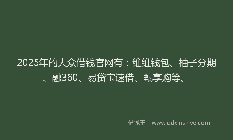 2025年的大众借钱官网有：维维钱包、柚子分期、融360、易贷宝速借、甄享购等。