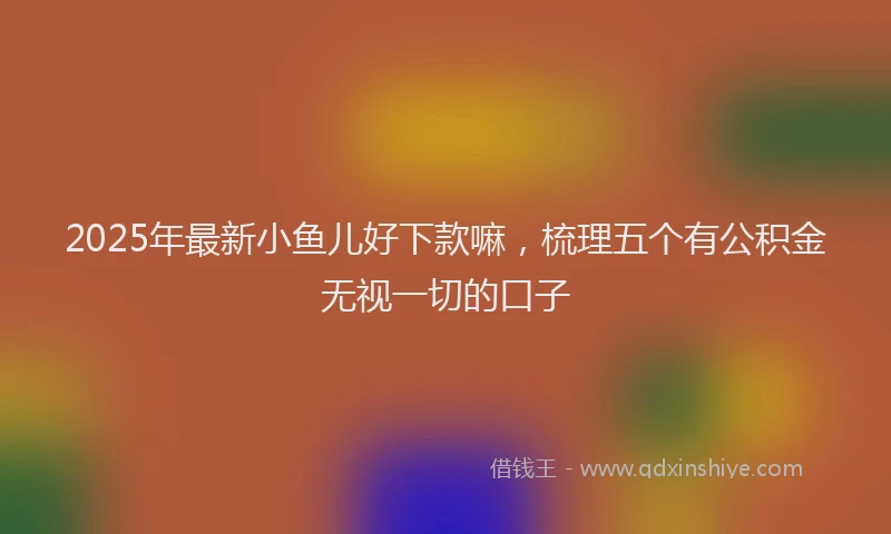 2025年最新小鱼儿好下款嘛，梳理五个有公积金无视一切的口子