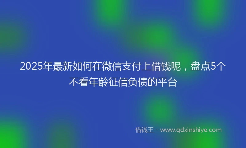 2025年最新如何在微信支付上借钱呢，盘点5个不看年龄征信负债的平台