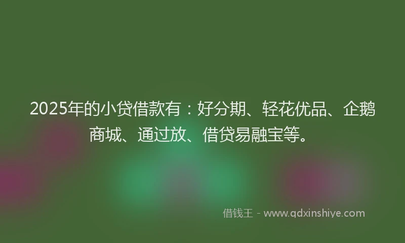 2025年的小贷借款有：好分期、轻花优品、企鹅商城、通过放、借贷易融宝等。