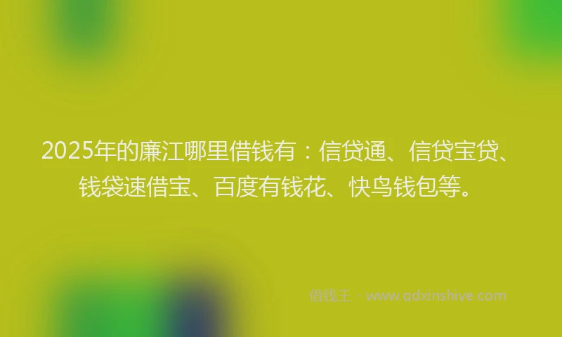 2025年的廉江哪里借钱有：信贷通、信贷宝贷、钱袋速借宝、百度有钱花、快鸟钱包等。