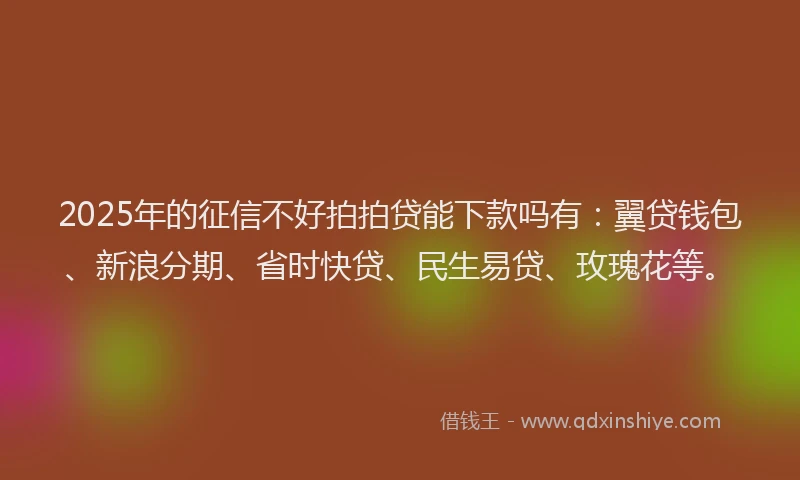 2025年的征信不好拍拍贷能下款吗有：翼贷钱包、新浪分期、省时快贷、民生易贷、玫瑰花等。