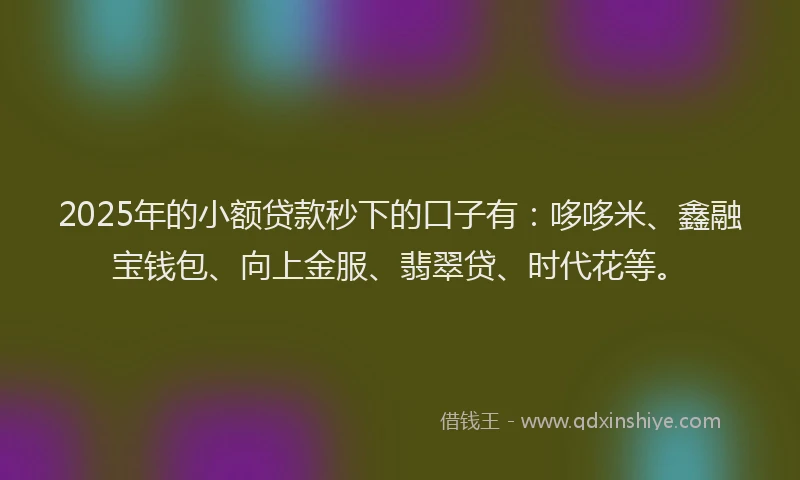 2025年的小额贷款秒下的口子有：哆哆米、鑫融宝钱包、向上金服、翡翠贷、时代花等。