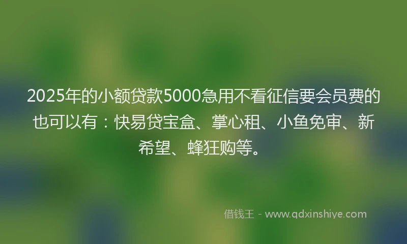 2025年的小额贷款5000急用不看征信要会员费的也可以有：快易贷宝盒、掌心租、小鱼免审、新希望、蜂狂购等。