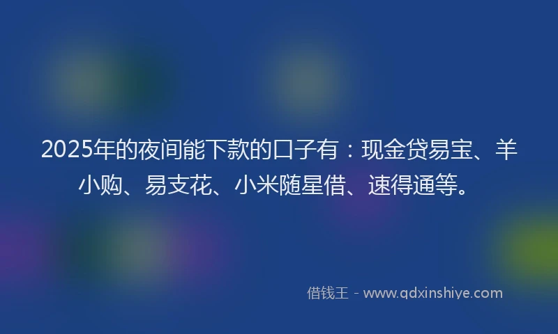 2025年的夜间能下款的口子有：现金贷易宝、羊小购、易支花、小米随星借、速得通等。