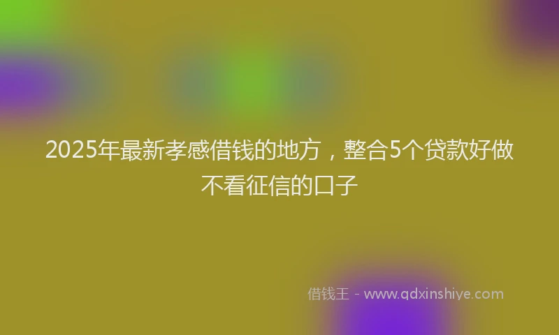 2025年最新孝感借钱的地方，整合5个贷款好做不看征信的口子