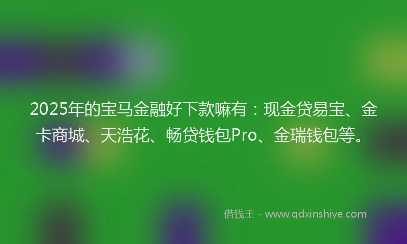 2025年的宝马金融好下款嘛有：现金贷易宝、金卡商城、天浩花、畅贷钱包Pro、金瑞钱包等。