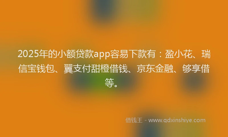2025年的小额贷款app容易下款有：盈小花、瑞信宝钱包、翼支付甜橙借钱、京东金融、够享借等。