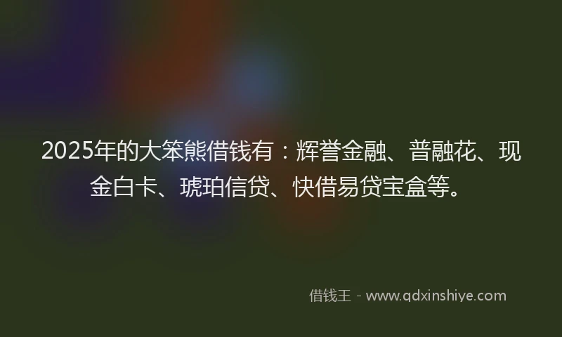 2025年的大笨熊借钱有：辉誉金融、普融花、现金白卡、琥珀信贷、快借易贷宝盒等。
