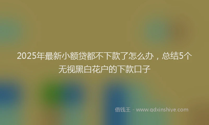 2025年最新小额贷都不下款了怎么办，总结5个无视黑白花户的下款口子