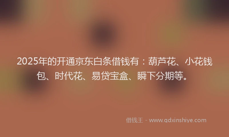 2025年的开通京东白条借钱有：葫芦花、小花钱包、时代花、易贷宝盒、瞬下分期等。