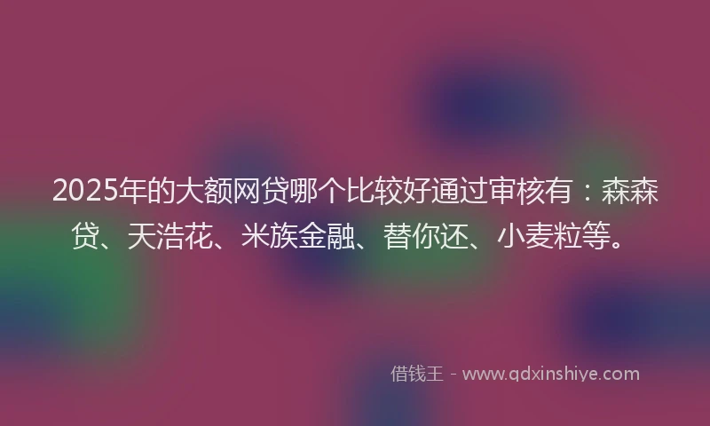 2025年的大额网贷哪个比较好通过审核有：森森贷、天浩花、米族金融、替你还、小麦粒等。