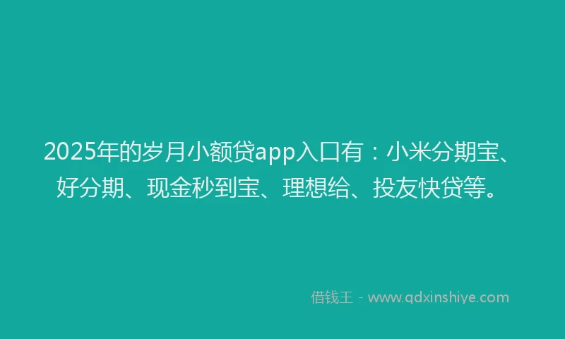2025年的岁月小额贷app入口有：小米分期宝、好分期、现金秒到宝、理想给、投友快贷等。