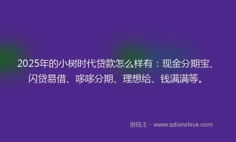 2025年的小树时代贷款怎么样有：现金分期宝、闪贷易借、哆哆分期、理想给、钱满满等。