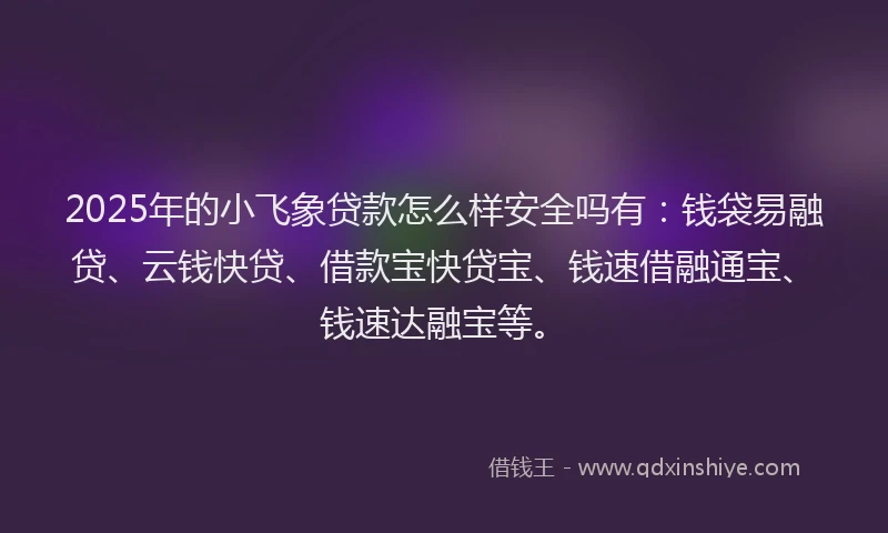 2025年的小飞象贷款怎么样安全吗有：钱袋易融贷、云钱快贷、借款宝快贷宝、钱速借融通宝、钱速达融宝等。