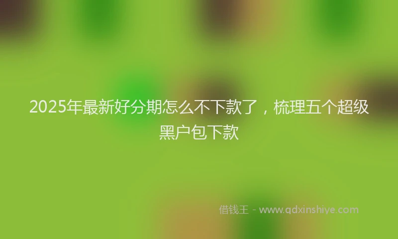 2025年最新好分期怎么不下款了，梳理五个超级黑户包下款