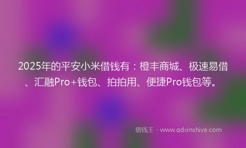 2025年的平安小米借钱有：橙丰商城、极速易借、汇融Pro+钱包、拍拍用、便捷Pro钱包等。