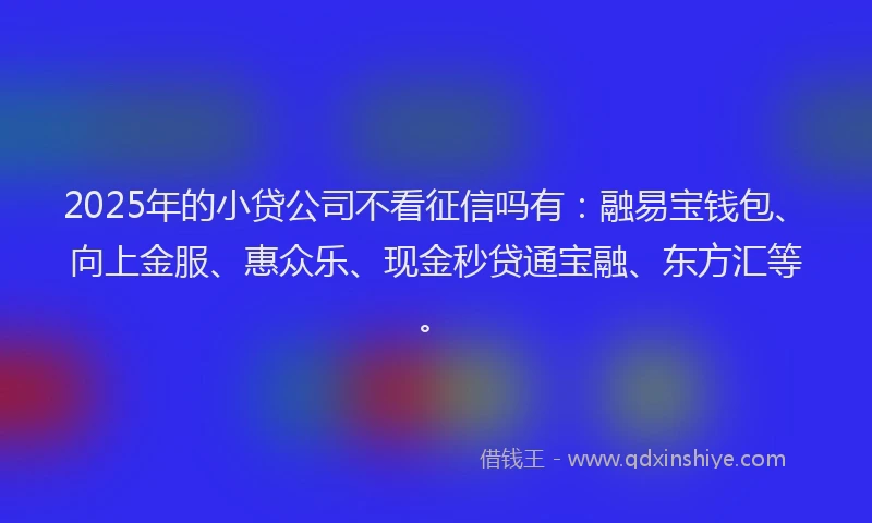 2025年的小贷公司不看征信吗有：融易宝钱包、向上金服、惠众乐、现金秒贷通宝融、东方汇等。