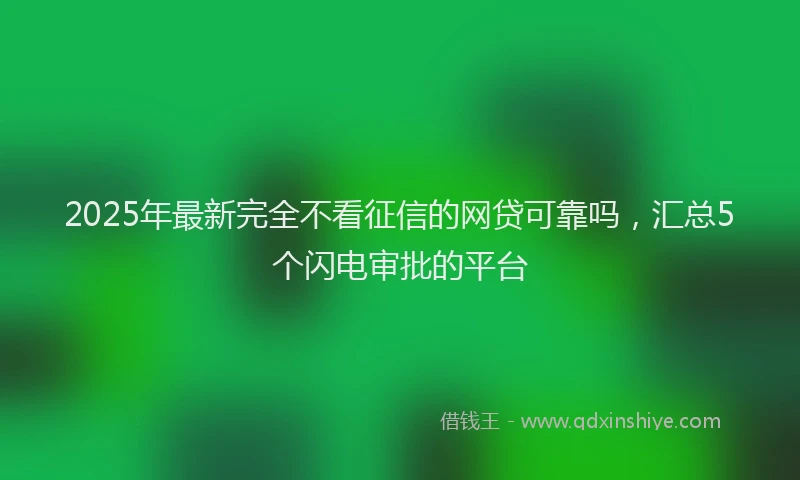 2025年最新完全不看征信的网贷可靠吗，汇总5个闪电审批的平台