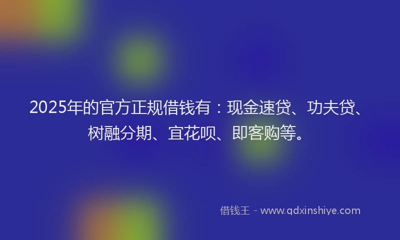 2025年的官方正规借钱有：现金速贷、功夫贷、树融分期、宜花呗、即客购等。
