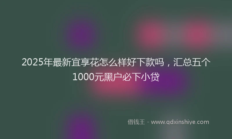 2025年最新宜享花怎么样好下款吗，汇总五个1000元黑户必下小贷