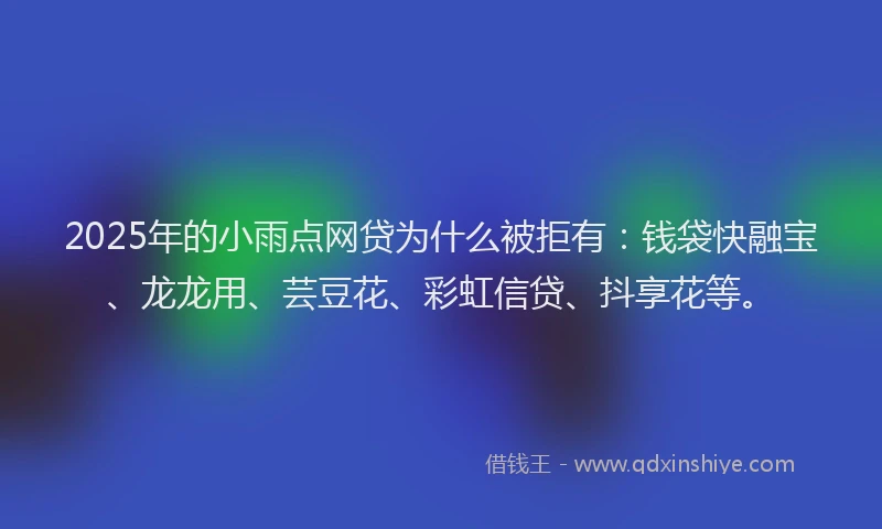 2025年的小雨点网贷为什么被拒有：钱袋快融宝、龙龙用、芸豆花、彩虹信贷、抖享花等。
