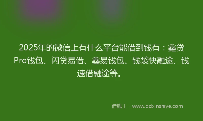 2025年的微信上有什么平台能借到钱有：鑫贷Pro钱包、闪贷易借、鑫易钱包、钱袋快融途、钱速借融途等。