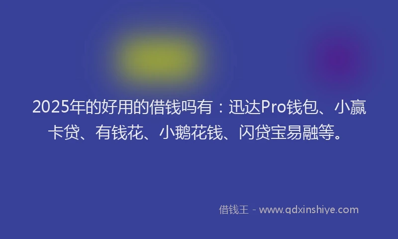 2025年的好用的借钱吗有：迅达Pro钱包、小赢卡贷、有钱花、小鹅花钱、闪贷宝易融等。