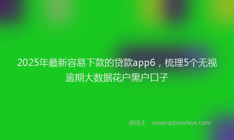 2025年最新容易下款的贷款app6，梳理5个无视逾期大数据花户黑户口子