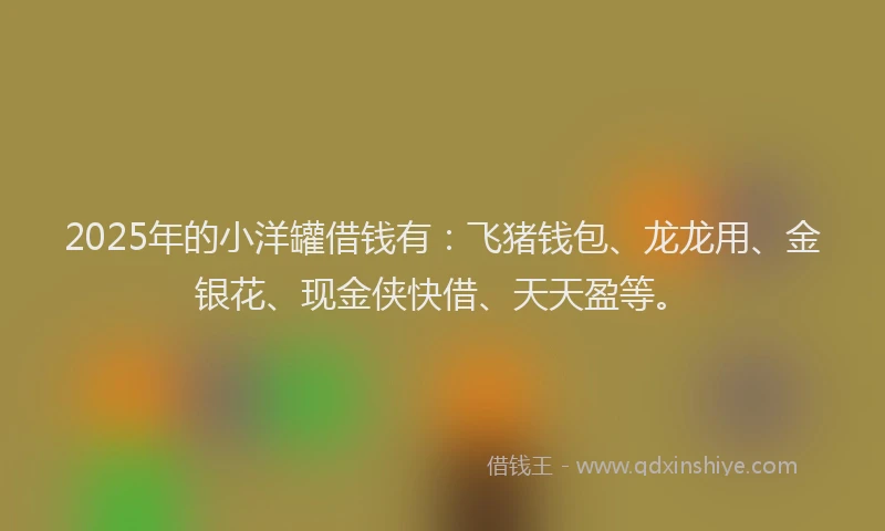 2025年的小洋罐借钱有：飞猪钱包、龙龙用、金银花、现金侠快借、天天盈等。