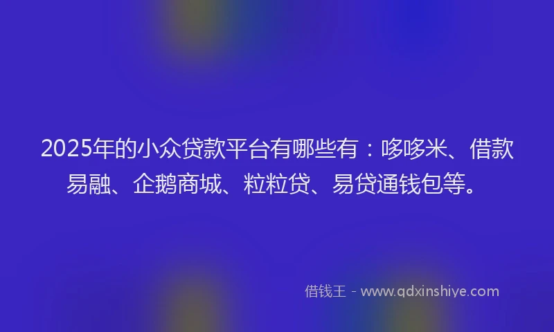 2025年的小众贷款平台有哪些有：哆哆米、借款易融、企鹅商城、粒粒贷、易贷通钱包等。