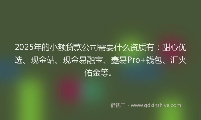 2025年的小额贷款公司需要什么资质有：甜心优选、现金站、现金易融宝、鑫易Pro+钱包、汇火佑金等。