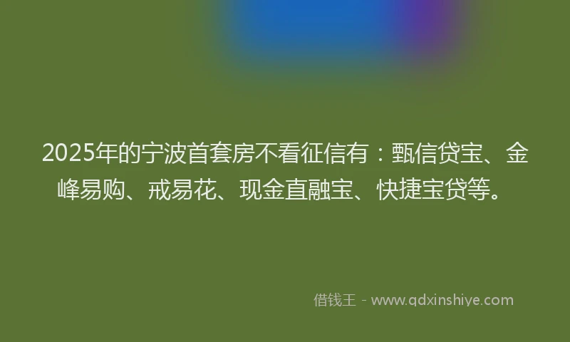 2025年的宁波首套房不看征信有：甄信贷宝、金峰易购、戒易花、现金直融宝、快捷宝贷等。
