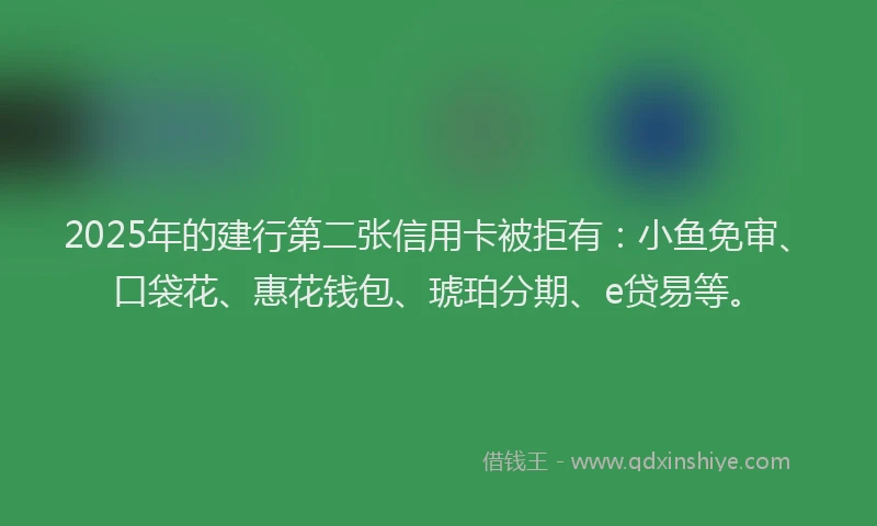 2025年的建行第二张信用卡被拒有：小鱼免审、口袋花、惠花钱包、琥珀分期、e贷易等。