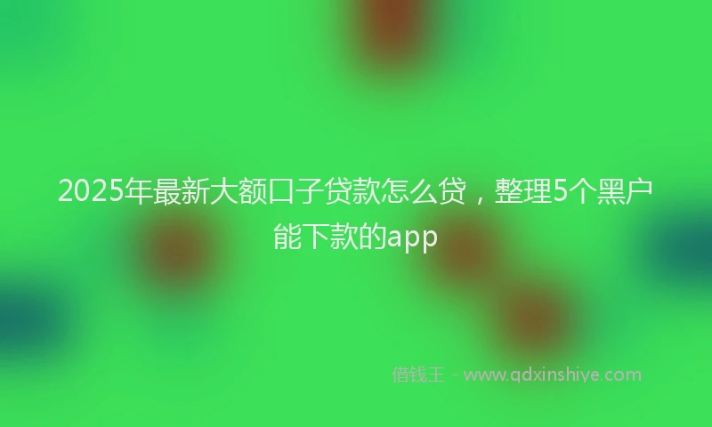 2025年最新大额口子贷款怎么贷，整理5个黑户能下款的app