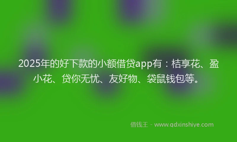2025年的好下款的小额借贷app有：桔享花、盈小花、贷你无忧、友好物、袋鼠钱包等。