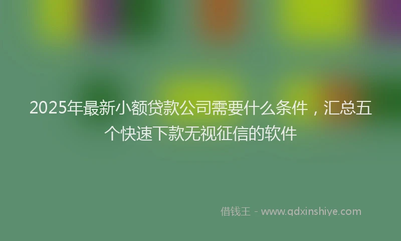 2025年最新小额贷款公司需要什么条件，汇总五个快速下款无视征信的软件