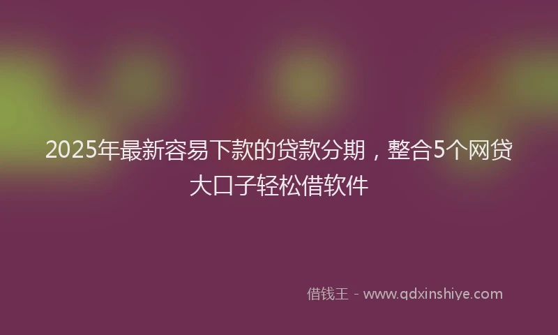 2025年最新容易下款的贷款分期，整合5个网贷大口子轻松借软件