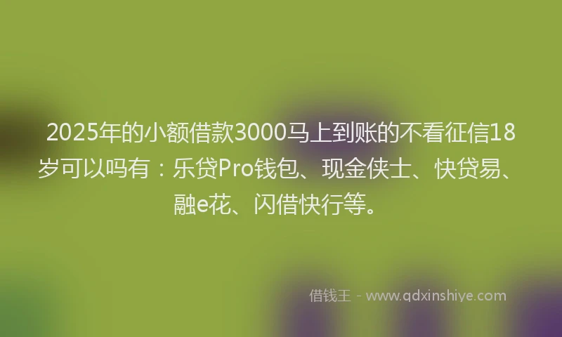 2025年的小额借款3000马上到账的不看征信18岁可以吗有：乐贷Pro钱包、现金侠士、快贷易、融e花、闪借快行等。
