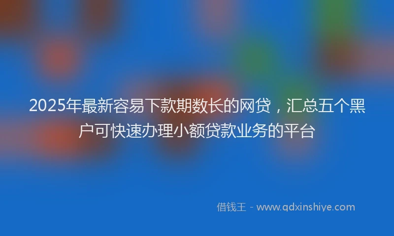 2025年最新容易下款期数长的网贷，汇总五个黑户可快速办理小额贷款业务的平台