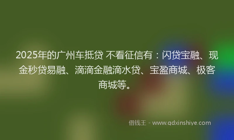 2025年的广州车抵贷 不看征信有：闪贷宝融、现金秒贷易融、滴滴金融滴水贷、宝盈商城、极客商城等。