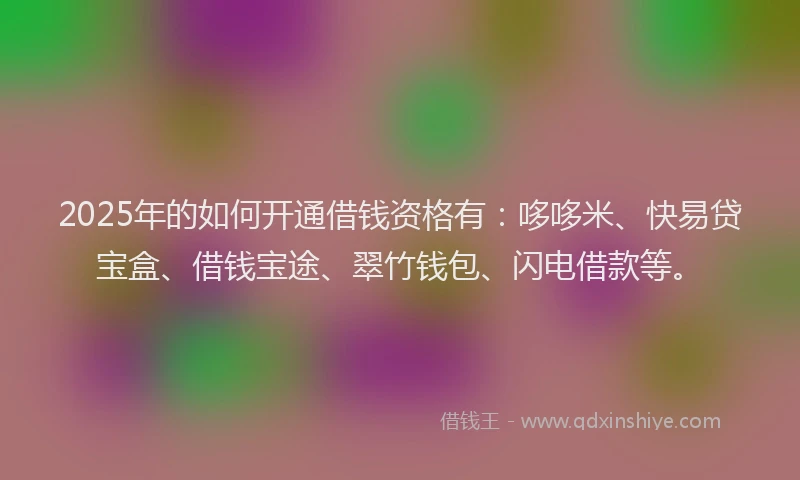 2025年的如何开通借钱资格有：哆哆米、快易贷宝盒、借钱宝途、翠竹钱包、闪电借款等。