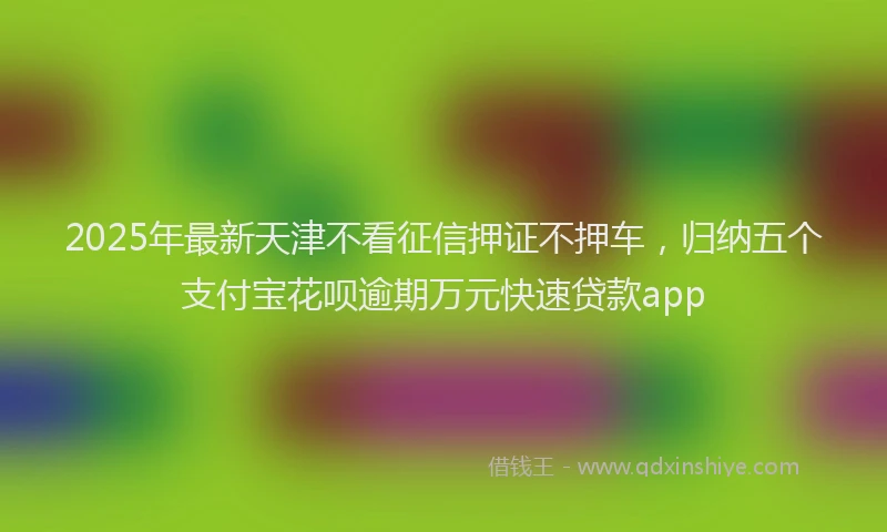 2025年最新天津不看征信押证不押车，归纳五个支付宝花呗逾期万元快速贷款app