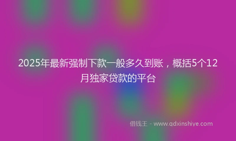 2025年最新强制下款一般多久到账，概括5个12月独家贷款的平台