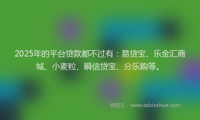 2025年的平台贷款都不过有：易贷宝、乐金汇商城、小麦粒、瞬信贷宝、分乐购等。