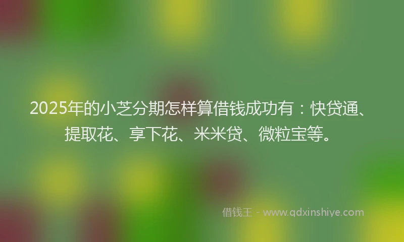 2025年的小芝分期怎样算借钱成功有：快贷通、提取花、享下花、米米贷、微粒宝等。