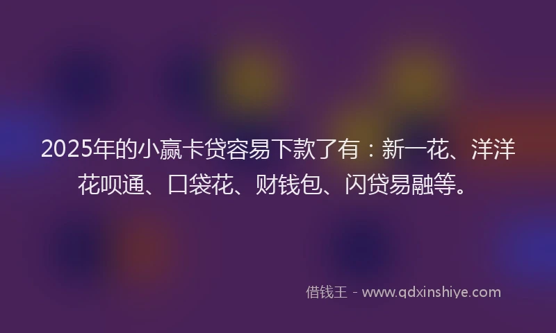2025年的小赢卡贷容易下款了有：新一花、洋洋花呗通、口袋花、财钱包、闪贷易融等。