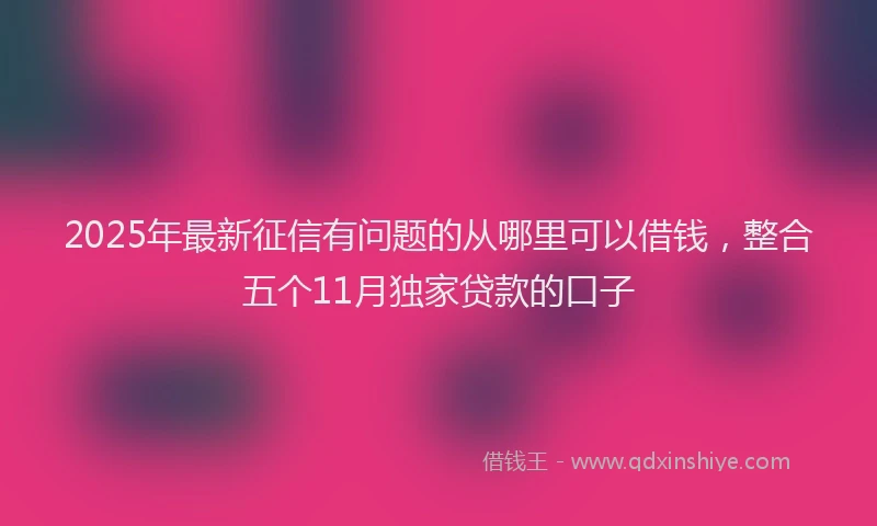 2025年最新征信有问题的从哪里可以借钱，整合五个11月独家贷款的口子